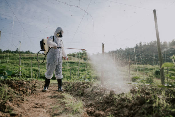 Pest Control Cost in Raymore, MO