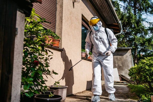 Best Cockroach Control Services  in Rayre, MO