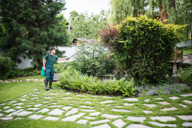 Best Wasp Removal Services  in Rayre, MO