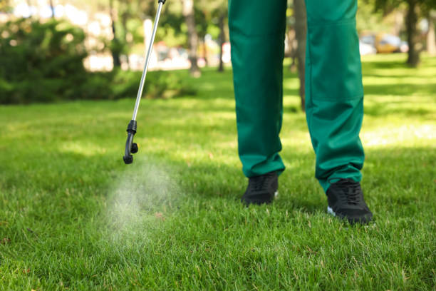 Best Affordable Pest Control Services  in Rayre, MO