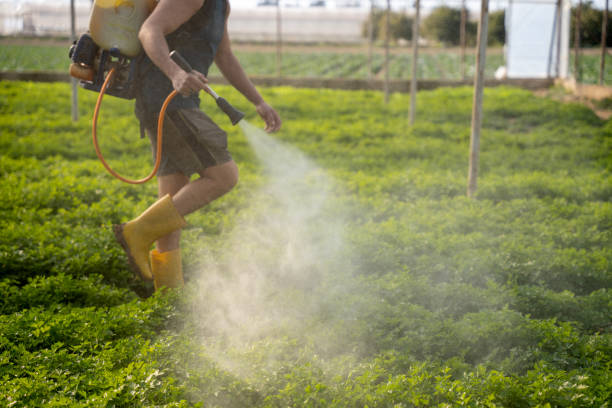 Best Exterminator Services  in Rayre, MO