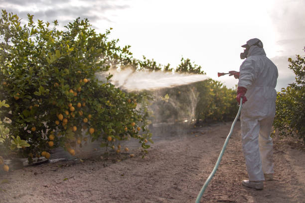 Best Best Pest Control Companies  in Rayre, MO
