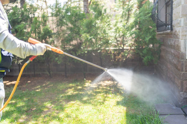 Flea Control Services in Raymore, MO