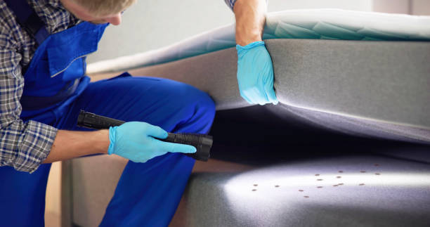 Best Best Pest Control Companies  in Rayre, MO