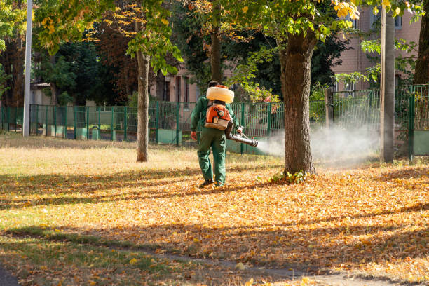 Best Exterminator Services  in Rayre, MO