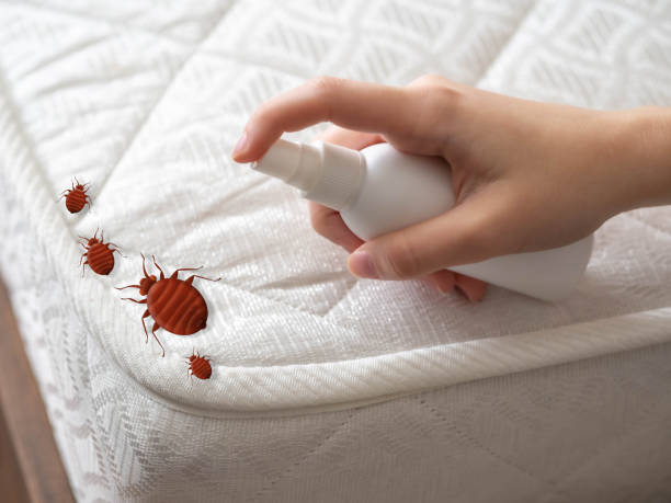 Best Pest Control Cost  in Rayre, MO