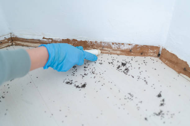 Best Pest Control Near Me  in Rayre, MO
